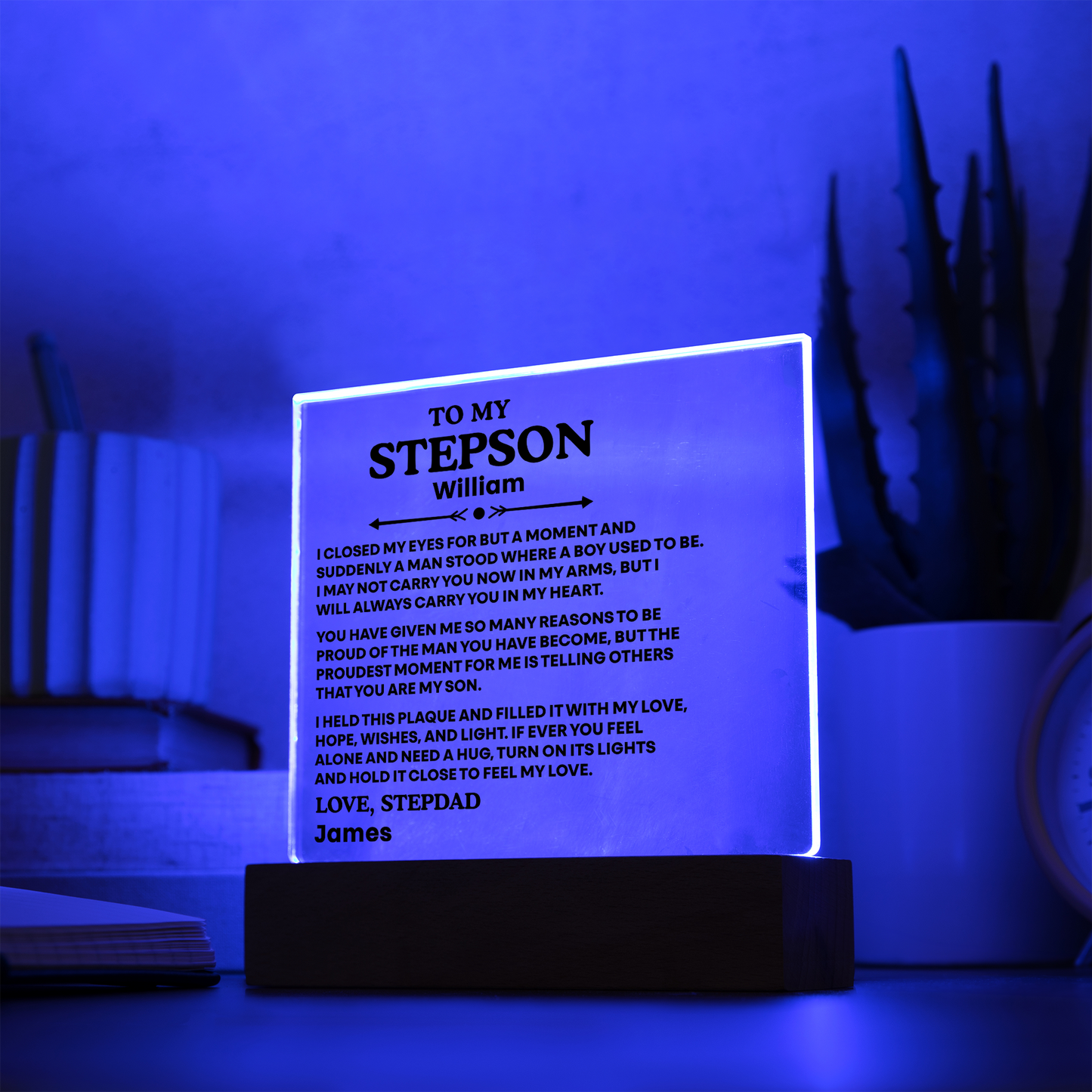 To My Stepson Acrylic Plaque from Stepmom and Stepdad – Personalized LED Night Light Gift for Stepson
