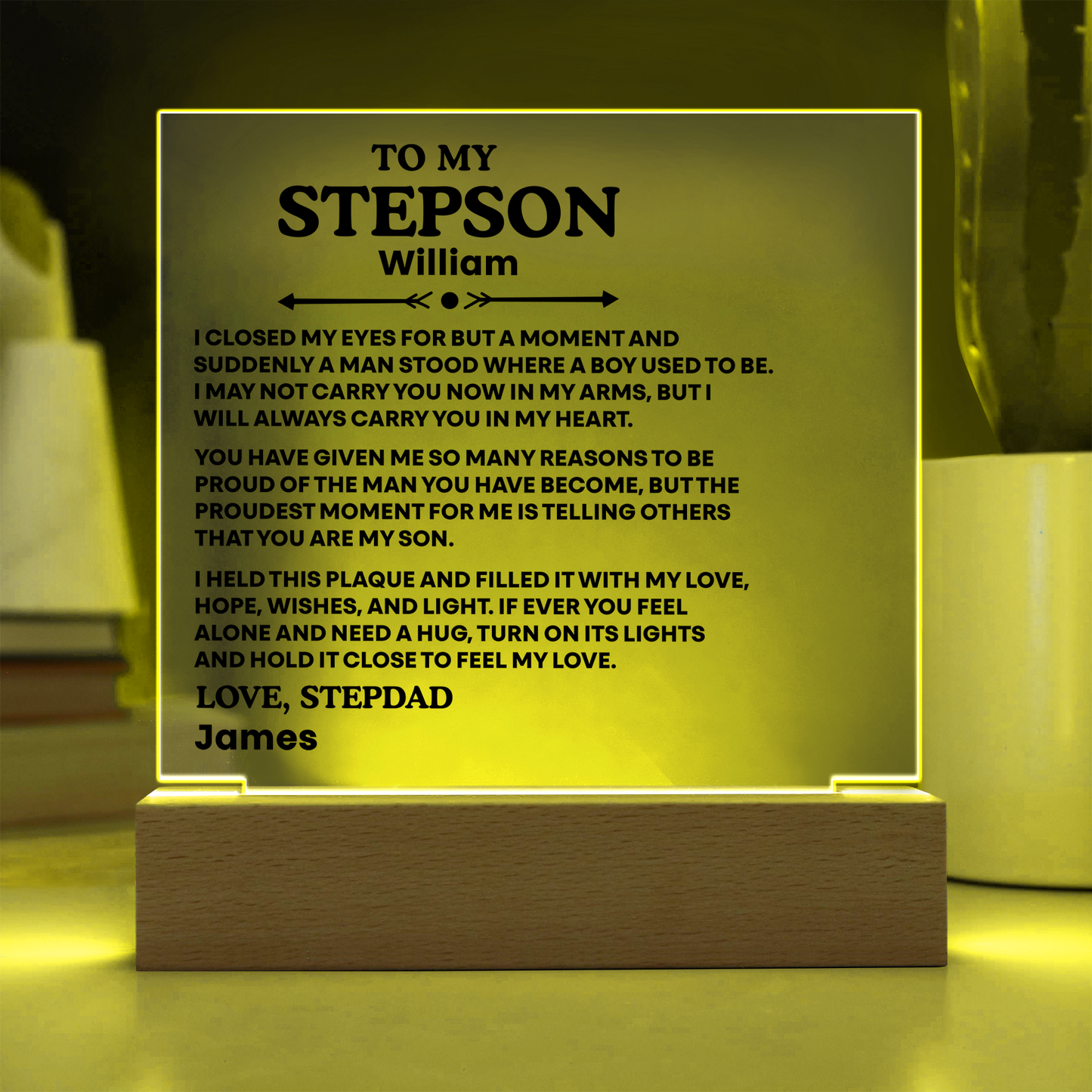 To My Stepson Acrylic Plaque from Stepmom and Stepdad – Personalized LED Night Light Gift for Stepson
