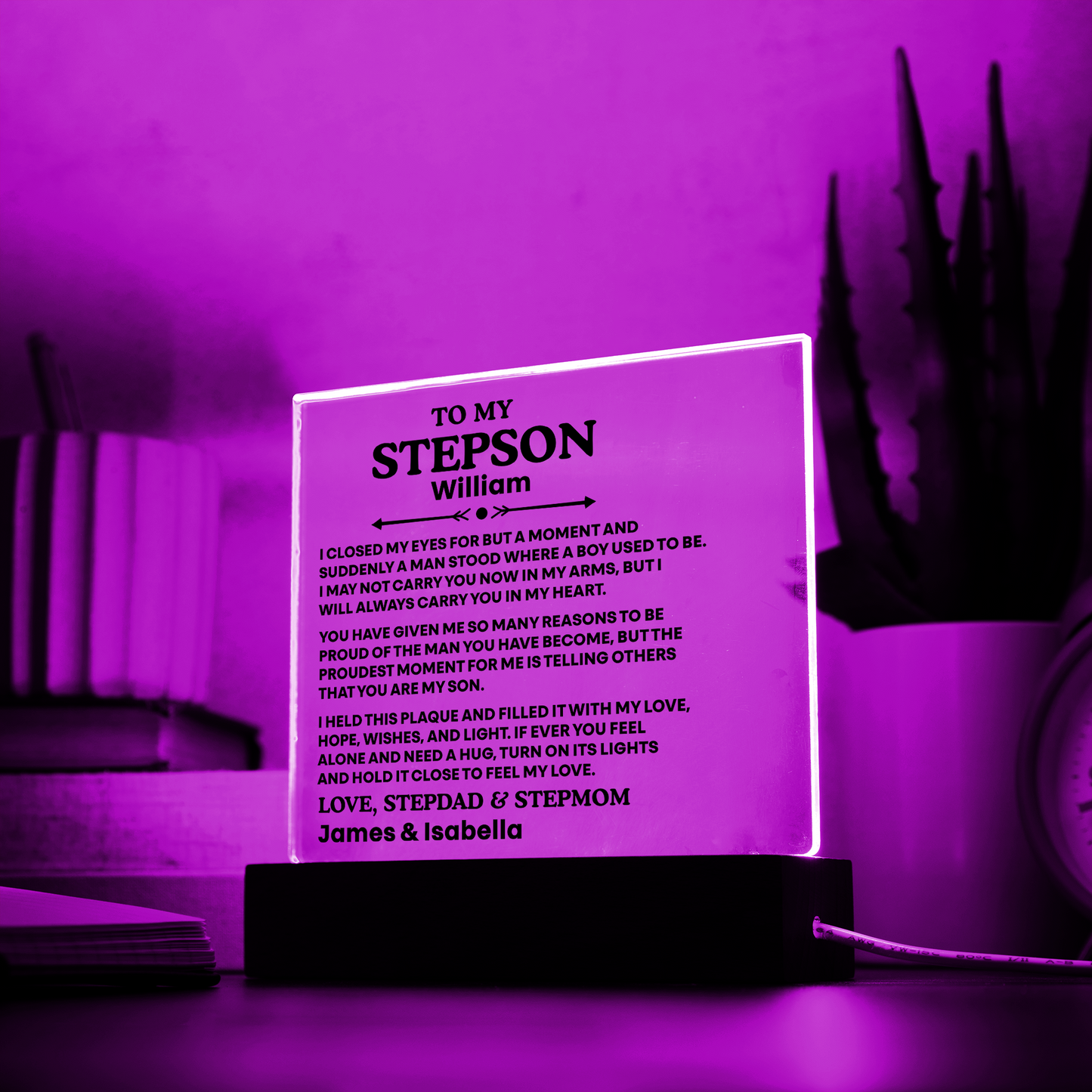 To My Stepson Acrylic Plaque from Stepmom and Stepdad – Personalized LED Night Light Gift for Stepson